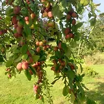 Ferienhaus Domaine Des Cerisiers - Piste Cyclable Reliant Honfleur - Parking Prive - Grand Jardin *