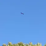 Domaine Des Cerisiers - Piste Cyclable Reliant Honfleur - Parking Prive - Grand Jardin * Berville-sur-Mer