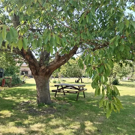Domaine Des Cerisiers - Piste Cyclable Reliant Honfleur - Parking Prive - Grand Jardin Дом отдыха